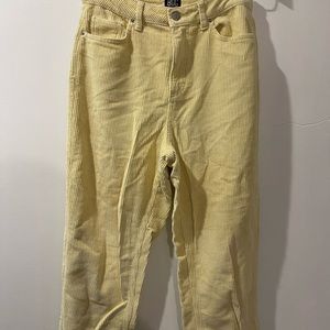 BDG/ URBAN OUTFITTERS corduroy pants size 29